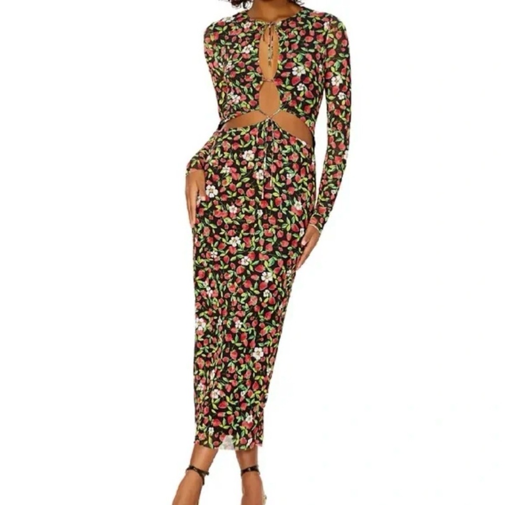 AFRM Noir Strawberry Floral Mesh Dress Cutout Bodycon Size M